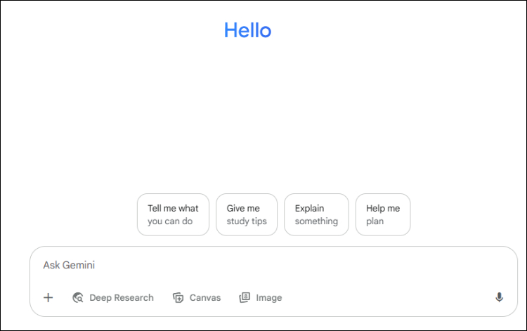 Gemini newchat