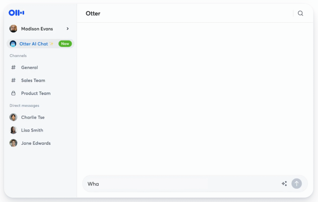 Otter ai Chat