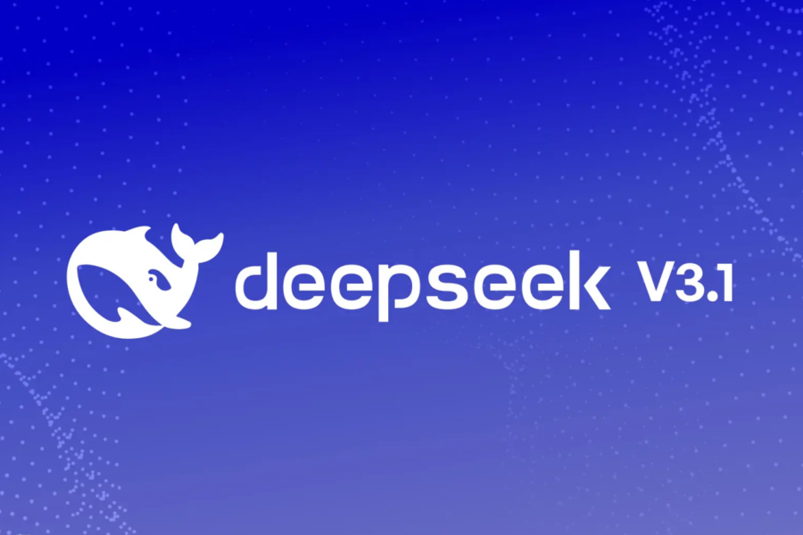 DeepSeek V3.1