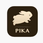 Pika AI: The Video Generation Tool for Everyone