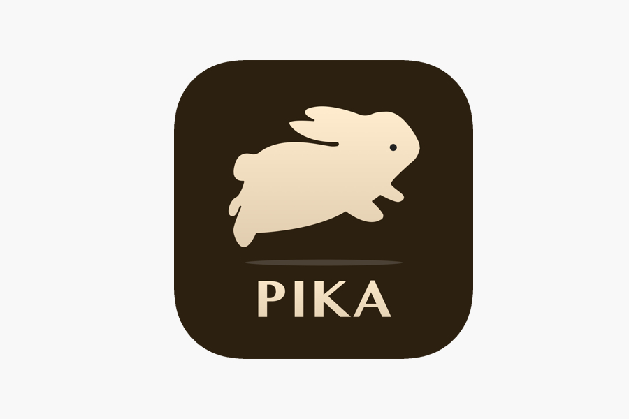 Pika AI: The Video Generation Tool for Everyone