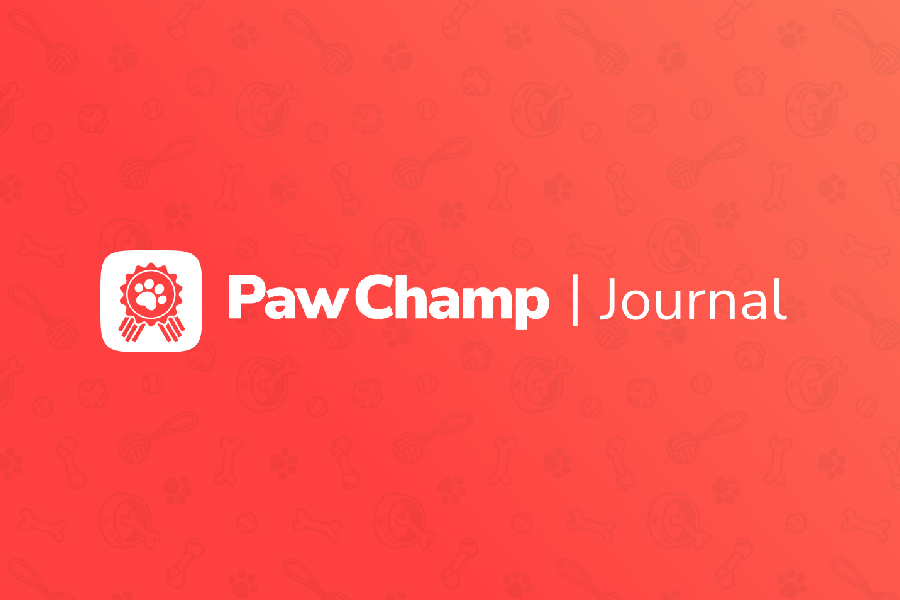 PawChamp - Dog Training and Care App: AI Companion and 24/7 Dog Experts
